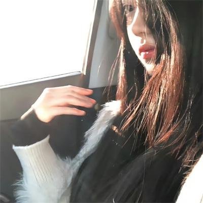 探长薇拉第十四季 海报