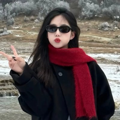 失落的毕业生 海报